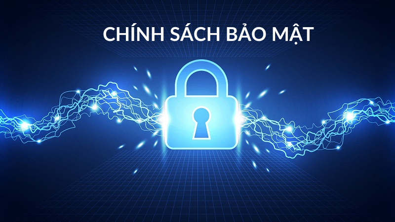 Cách Thức VinFast Sử Dụng Và Bảo Vệ Dữ Liệu Cá Nhân