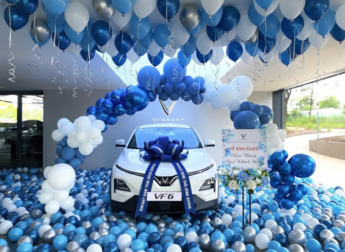 mua xe vinfast Bình Dương- nhận xe