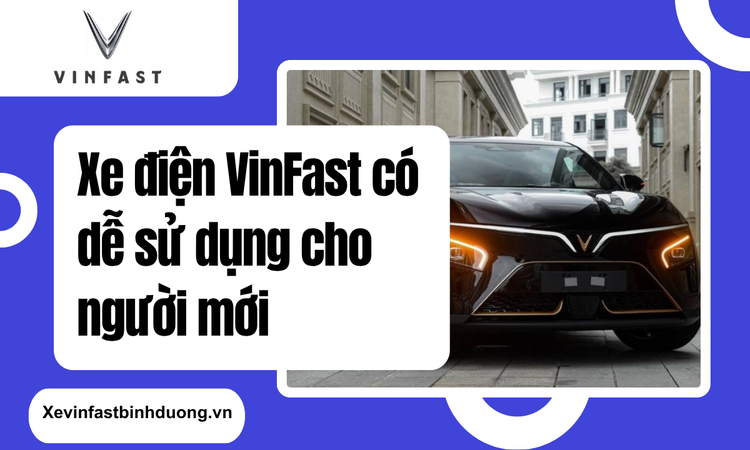 VinFast - Hành Trình Của Sự Thân Thiện Với Người Dùng
