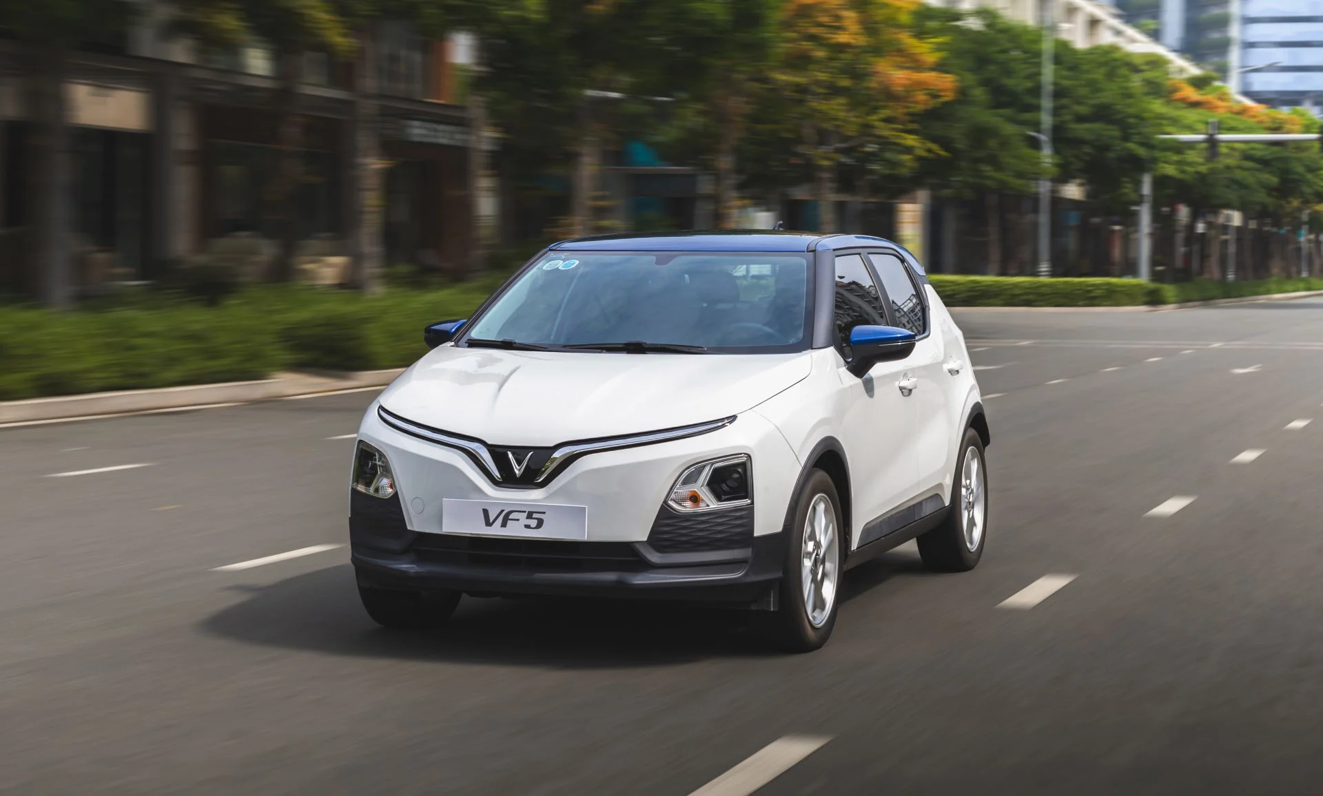 Phản hồi thực tế từ người dùng